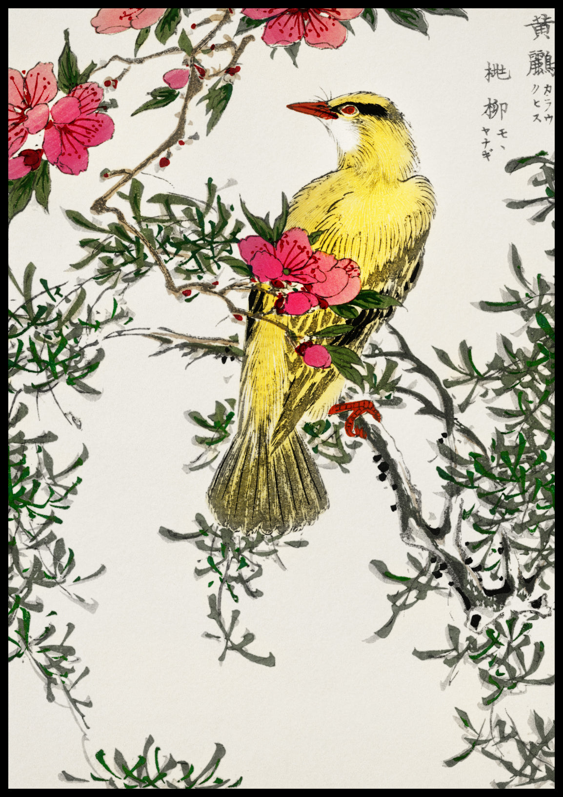 Plakat  Chinese Bush-Warbler, Kashu Vintage do Salonu