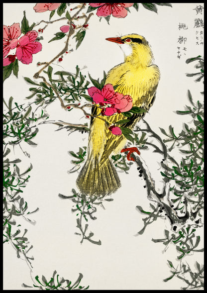 Plakat  Chinese Bush-Warbler, Kashu Vintage do Salonu
