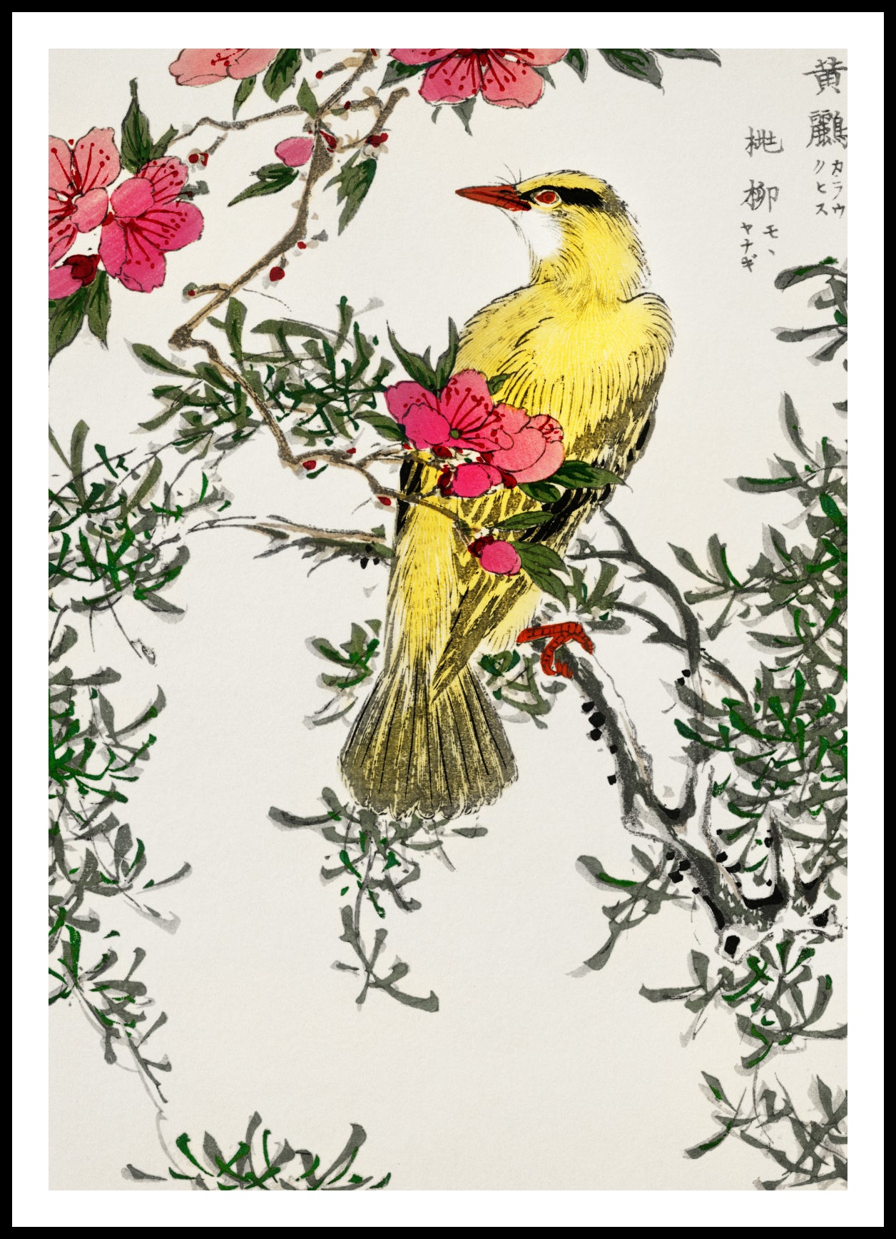 Plakat  Chinese Bush-Warbler, Kashu Vintage do Salonu