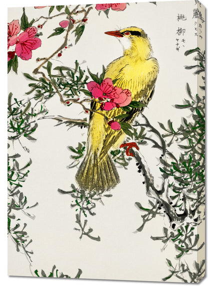 Obraz  Chinese Bush-Warbler, Kashu Vintage do Salonu
