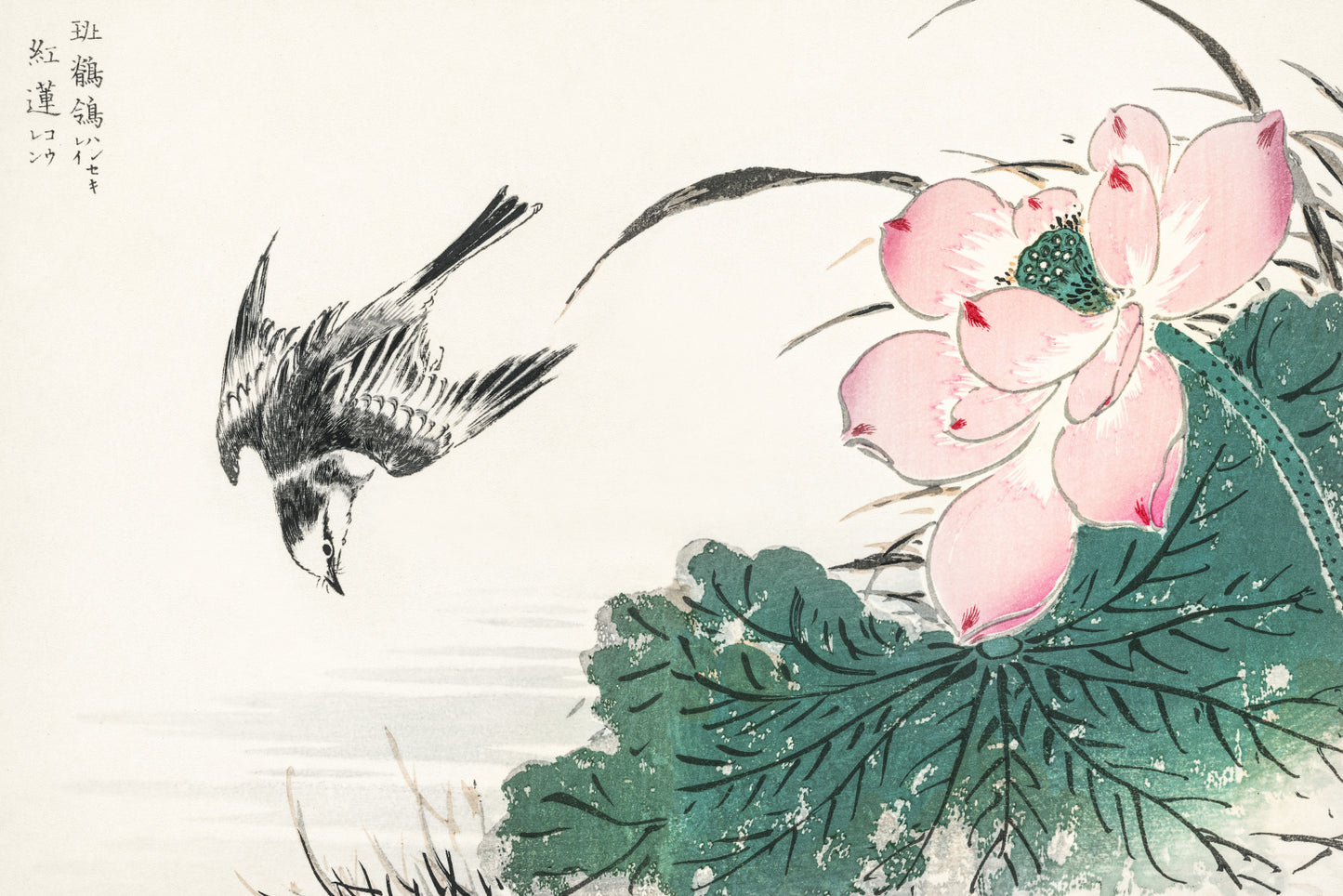 Plakat  Japanese Pied Wagtail, Kashu Vintage do Salonu