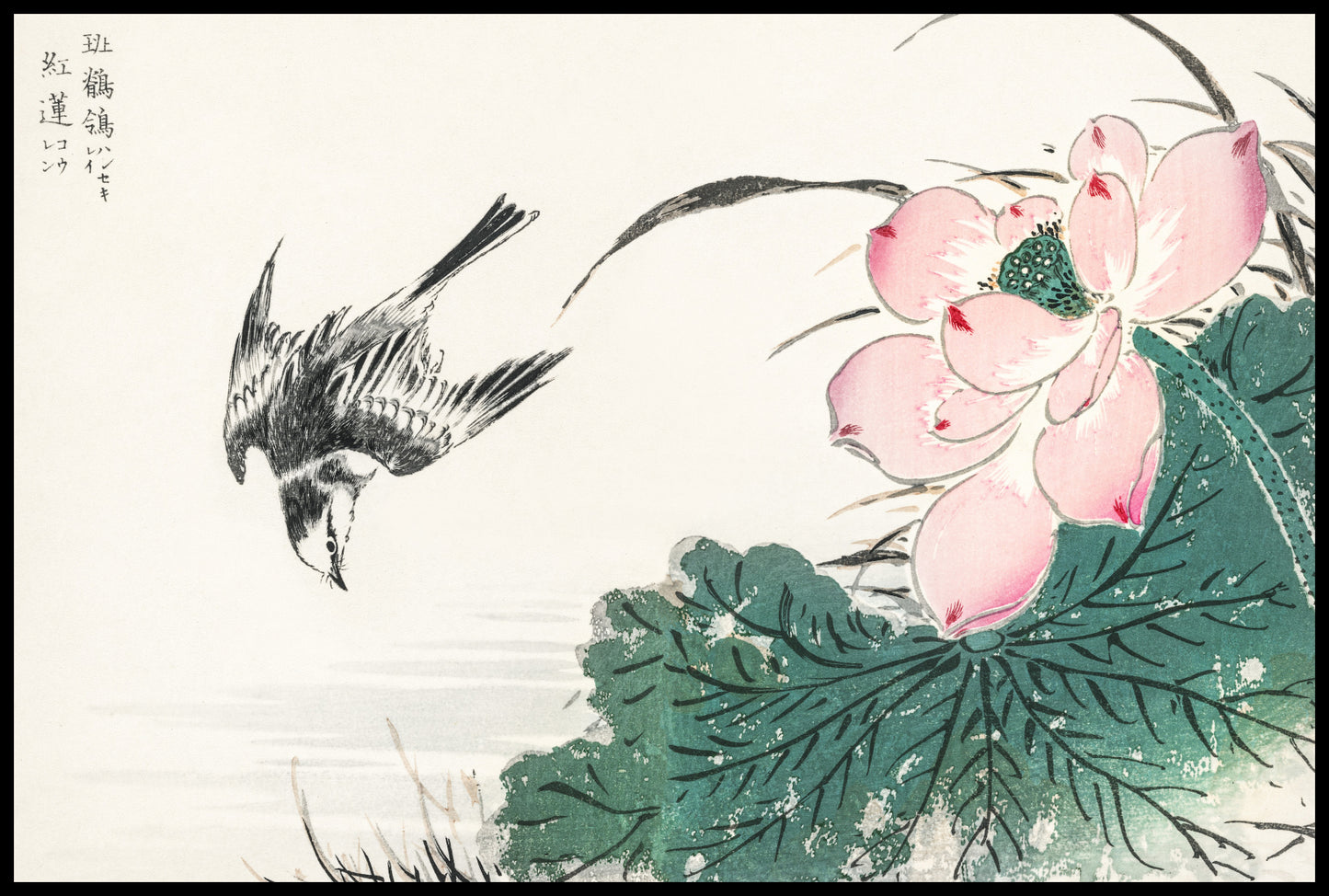 Plakat  Japanese Pied Wagtail, Kashu Vintage do Salonu