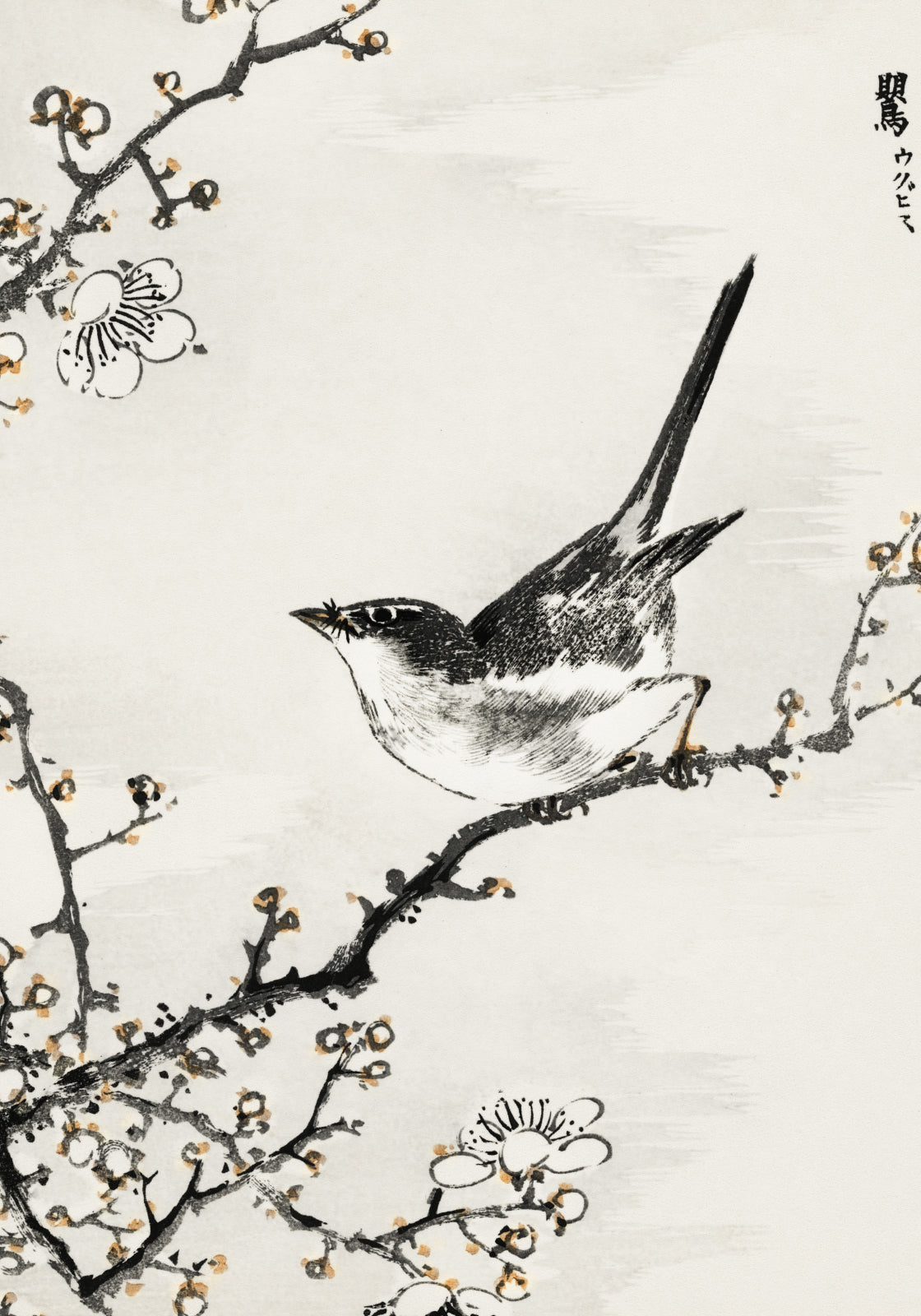 Plakat  Bush-Warbler, Kashu Japoński Vintage do Salonu