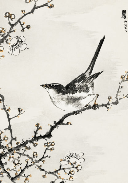 Plakat  Bush-Warbler, Kashu Japoński Vintage do Salonu