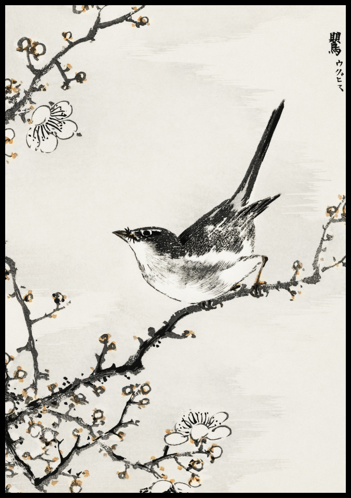 Plakat  Bush-Warbler, Kashu Japoński Vintage do Salonu