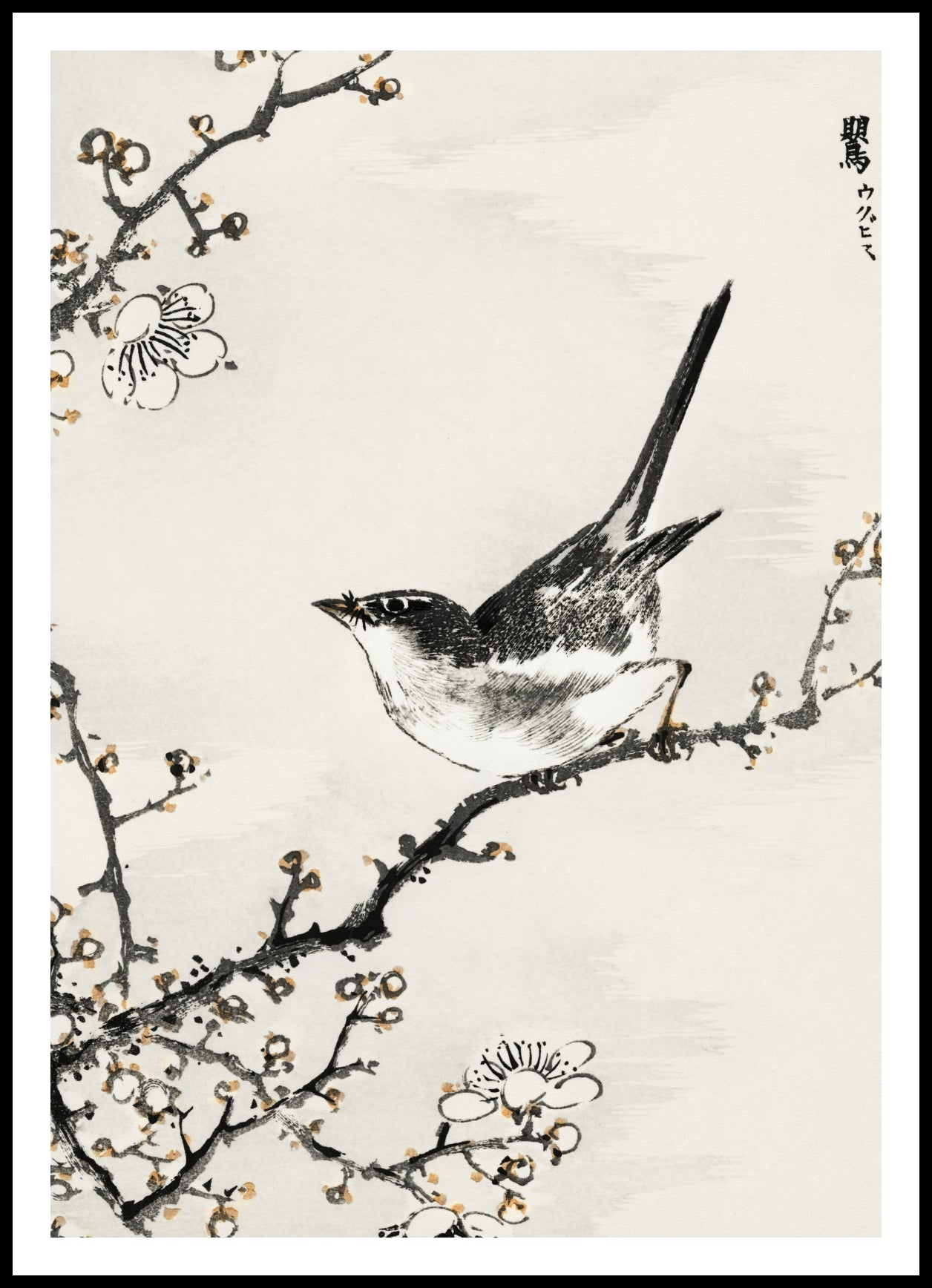 Plakat  Bush-Warbler, Kashu Japoński Vintage do Salonu