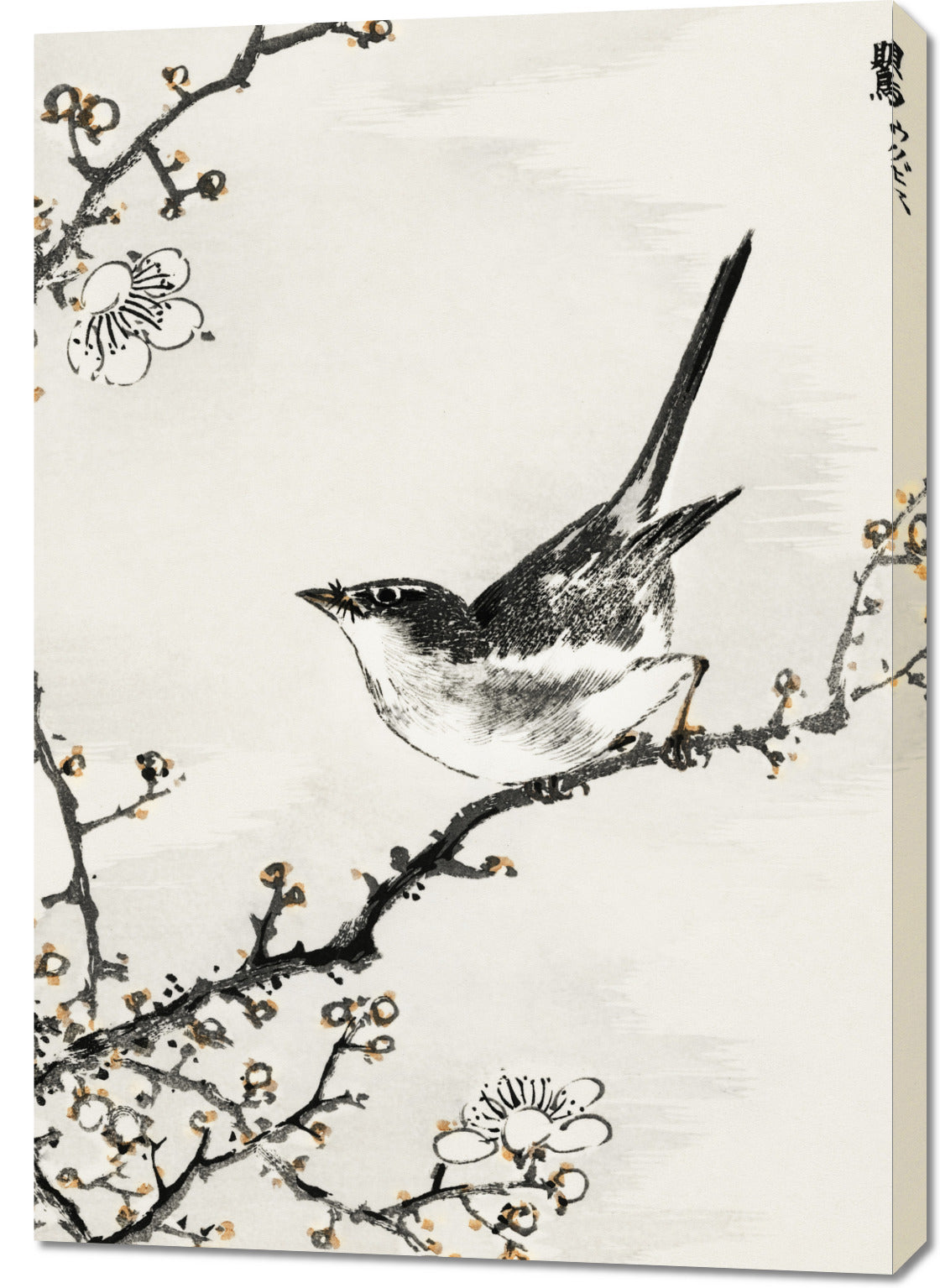 Obraz  Bush-Warbler, Kashu Japoński Vintage do Salonu