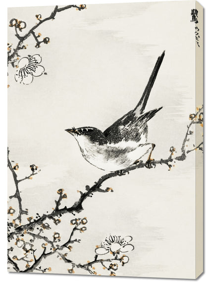 Obraz  Bush-Warbler, Kashu Japoński Vintage do Salonu