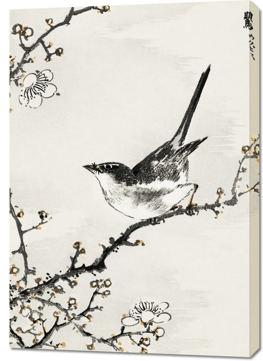 Obraz  Bush-Warbler, Kashu Japoński Vintage do Salonu