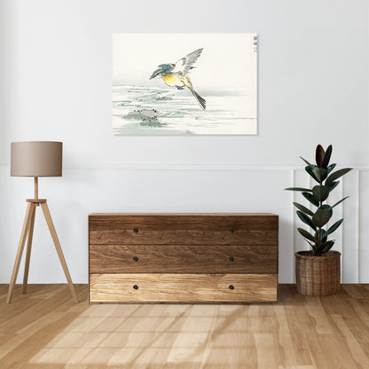 Obraz  Eastern Grey Wagtail, Kashu Vintage do Salonu