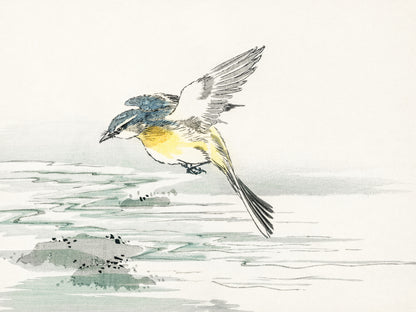 Plakat  Eastern Grey Wagtail, Kashu Vintage do Salonu