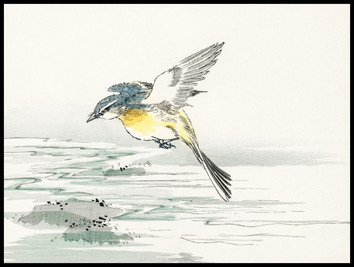 Plakat  Eastern Grey Wagtail, Kashu Vintage do Salonu