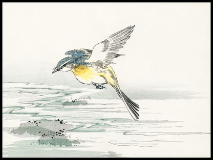 Plakat  Eastern Grey Wagtail, Kashu Vintage do Salonu