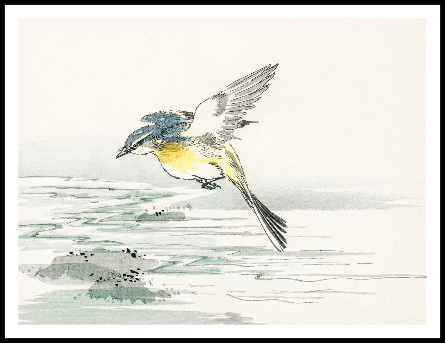 Plakat  Eastern Grey Wagtail, Kashu Vintage do Salonu