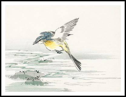 Plakat  Eastern Grey Wagtail, Kashu Vintage do Salonu