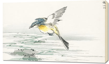 Obraz  Eastern Grey Wagtail, Kashu Vintage do Salonu