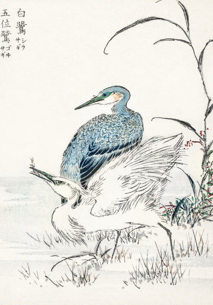 Plakat  Night Heron, Kashu Japoński Vintage do Salonu