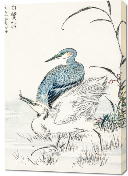 Obraz  Night Heron, Kashu Japoński Vintage do Salonu