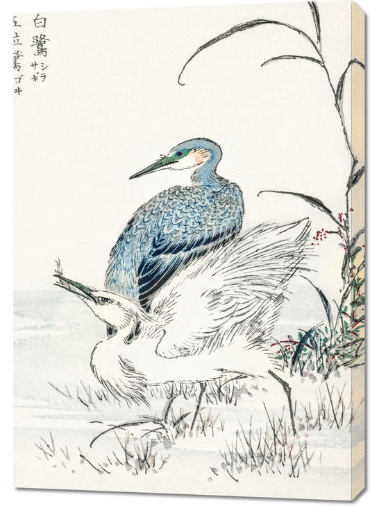 Obraz  Night Heron, Kashu Japoński Vintage do Salonu