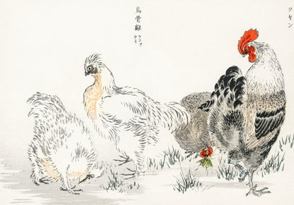 Plakat  Domestic Fowl, Kashu Japoński Vintage do Salonu