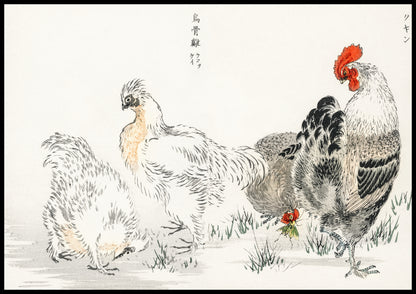 Plakat  Domestic Fowl, Kashu Japoński Vintage do Salonu