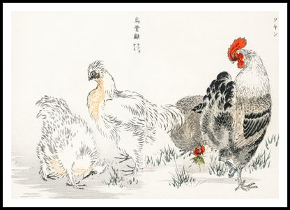 Plakat  Domestic Fowl, Kashu Japoński Vintage do Salonu