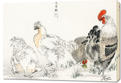 Obraz  Domestic Fowl, Kashu Japoński Vintage do Salonu