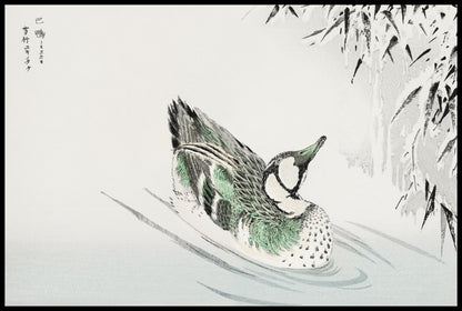Plakat  Spectacled Teal, Kashu Japoński Vintage do Salonu