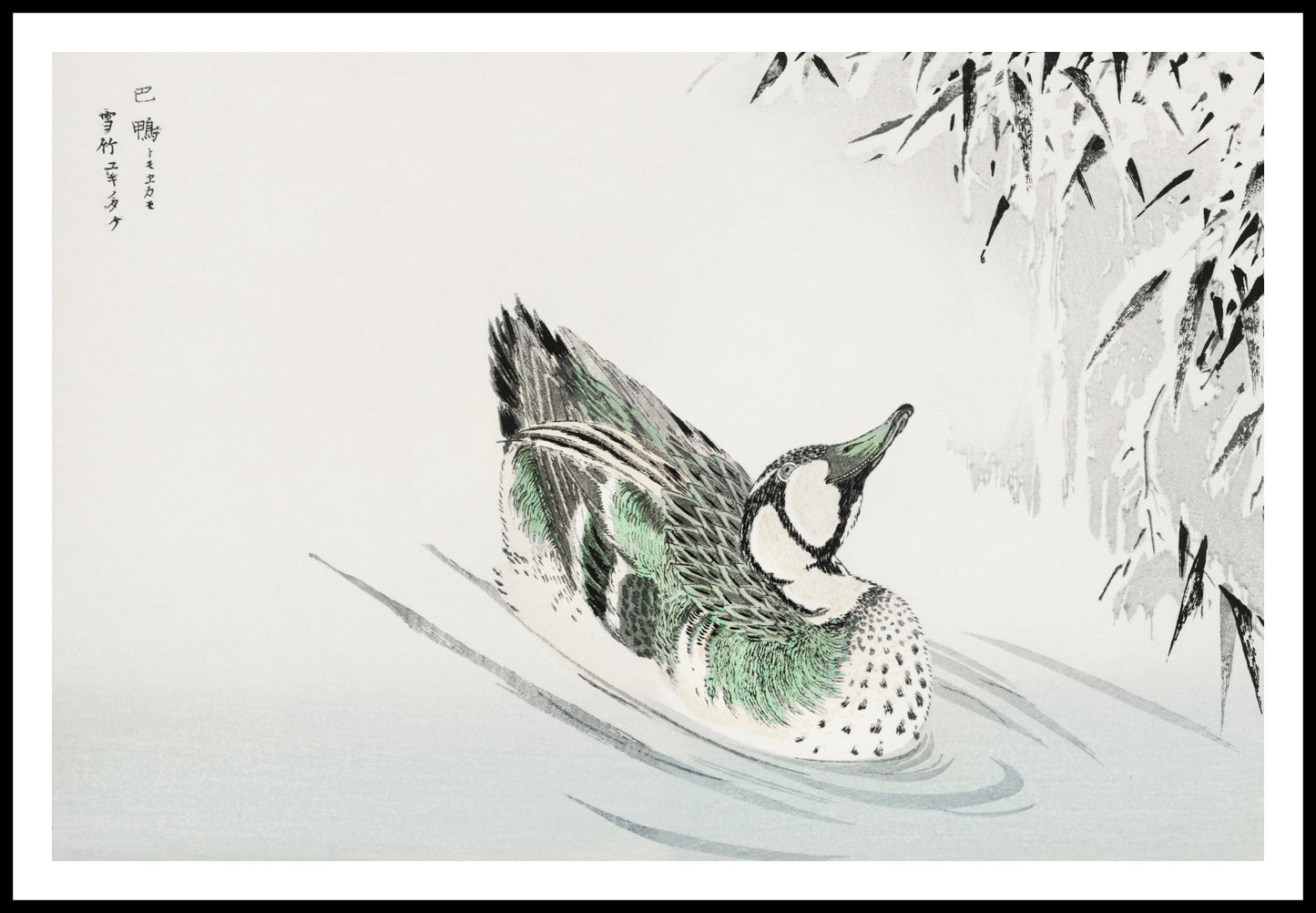 Plakat  Spectacled Teal, Kashu Japoński Vintage do Salonu