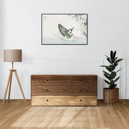 Plakat  Spectacled Teal, Kashu Japoński Vintage do Salonu
