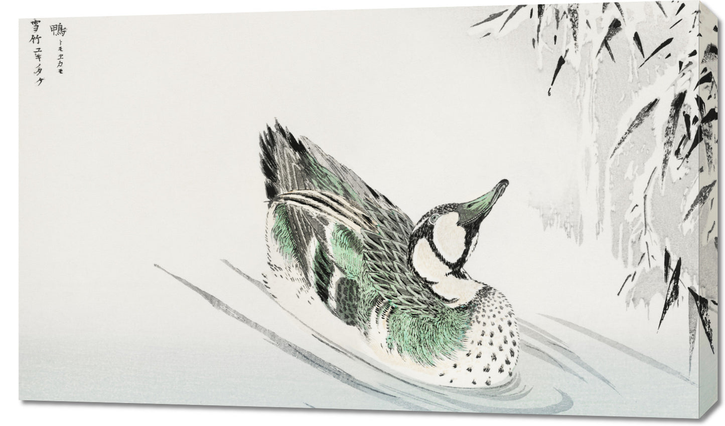 Obraz  Spectacled Teal, Kashu Japoński Vintage do Salonu