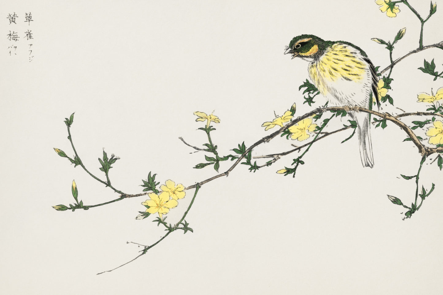 Plakat  Japanese Bunting, Kashu Japoński Vintage do Salonu