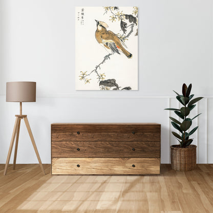 Obraz  Eastern Waxwing, Kashu Japoński Vintage do Salonu