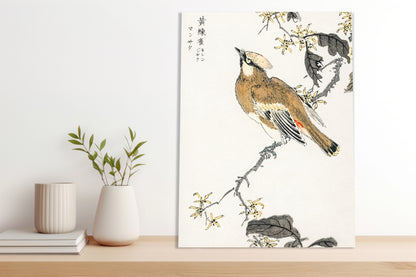Obraz  Eastern Waxwing, Kashu Japoński Vintage do Salonu