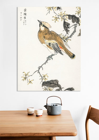 Obraz  Eastern Waxwing, Kashu Japoński Vintage do Salonu