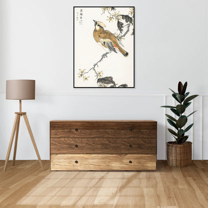Plakat  Eastern Waxwing, Kashu Japoński Vintage do Salonu
