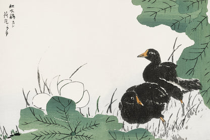 Plakat  Coot and Lotus, Japoński Vintage do Salonu