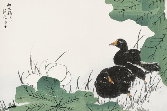 Plakat  Coot and Lotus, Japoński Vintage do Salonu
