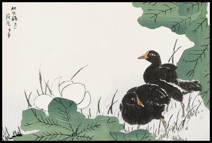 Plakat  Coot and Lotus, Japoński Vintage do Salonu