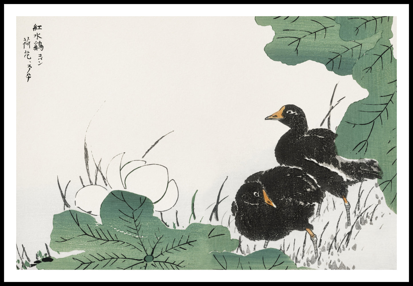 Plakat  Coot and Lotus, Japoński Vintage do Salonu