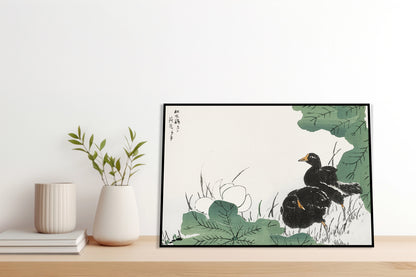 Plakat  Coot and Lotus, Japoński Vintage do Salonu