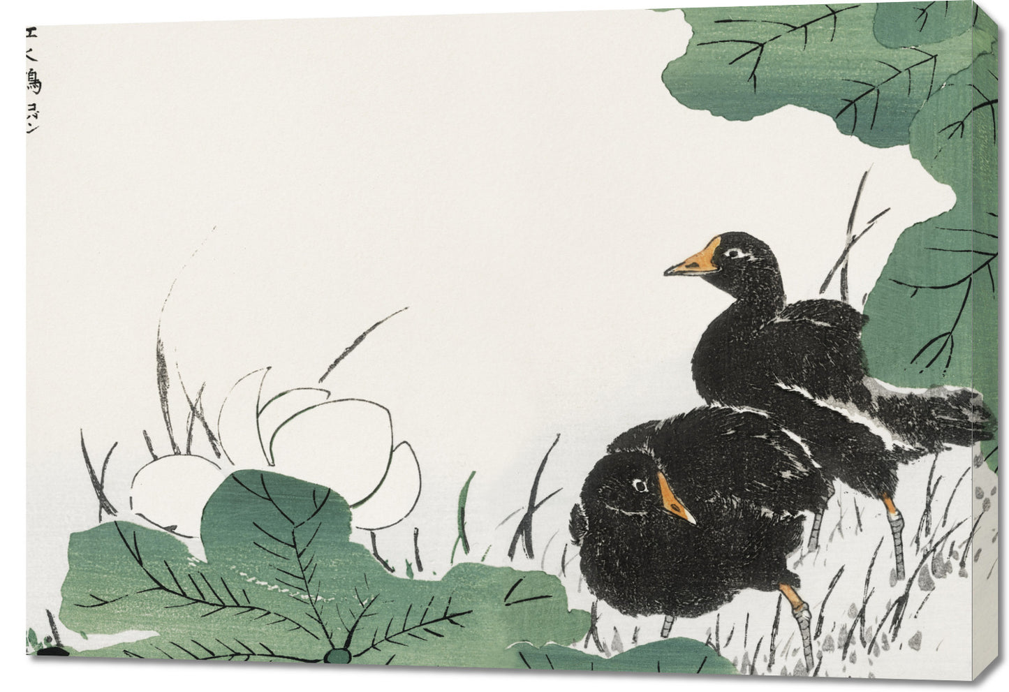Obraz  Coot and Lotus, Japoński Vintage do Salonu