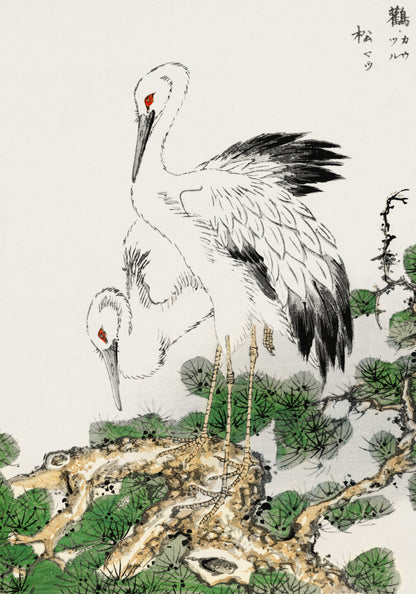 Plakat  Stork and Pine Tree, Kashu Japoński Vintage do Salonu