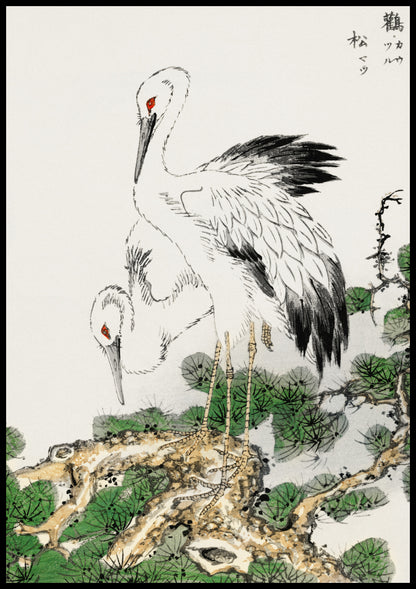 Plakat  Stork and Pine Tree, Kashu Japoński Vintage do Salonu
