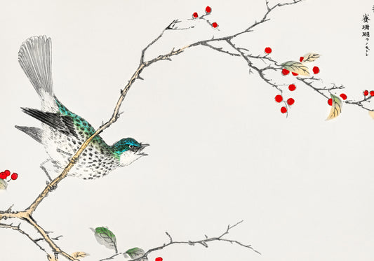 Plakat  Brown-eared Bulbul, Kashu Vintage do Salonu