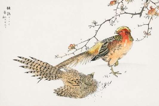 Plakat  Golden Pheasant, Kashu Japoński Vintage do Salonu
