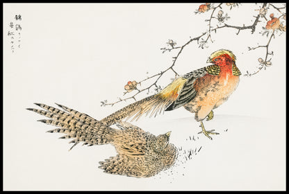 Plakat  Golden Pheasant, Kashu Japoński Vintage do Salonu