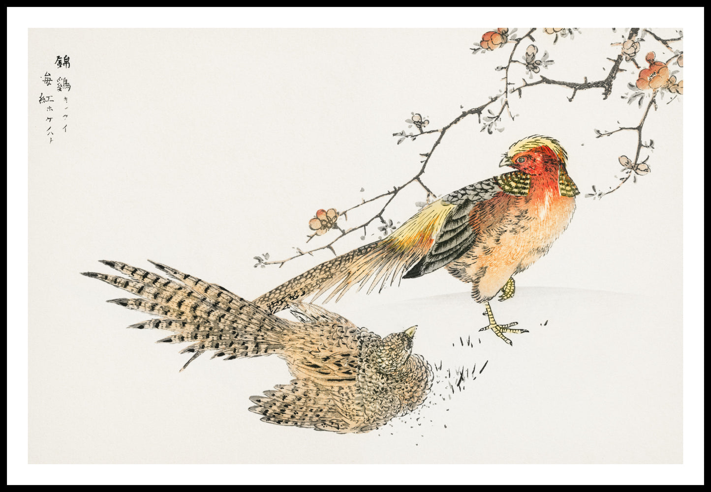Plakat  Golden Pheasant, Kashu Japoński Vintage do Salonu