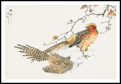 Plakat  Golden Pheasant, Kashu Japoński Vintage do Salonu