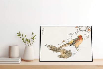 Plakat  Golden Pheasant, Kashu Japoński Vintage do Salonu
